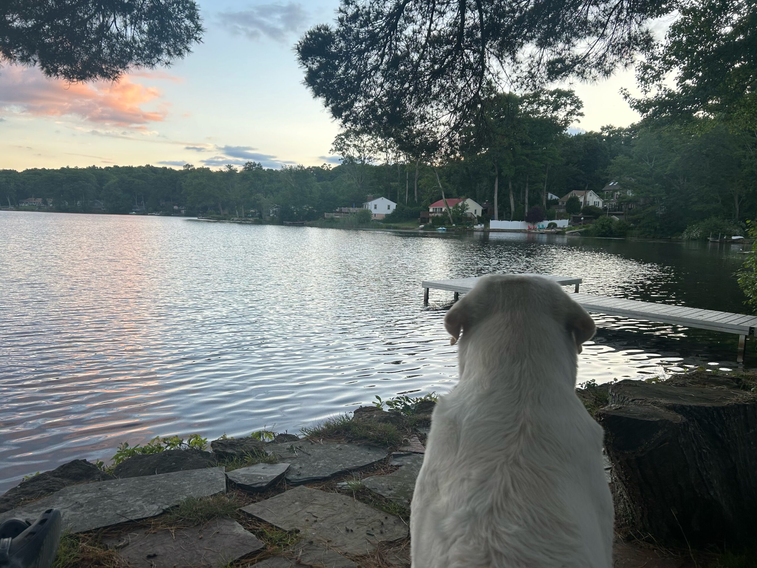 Comprehensive Consultation