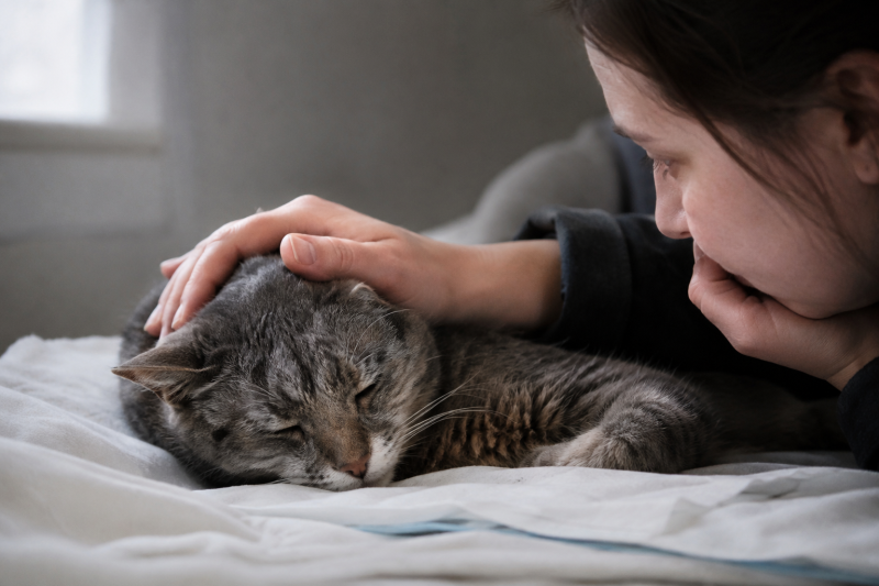 How Do I Know When It's Time to Put My Cat to Sleep